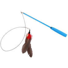 Load image into Gallery viewer, zaDog - Interactive Dog Toy Rod
