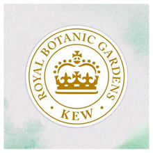 Load image into Gallery viewer, Herbal Essences - Conditioner - Revitalise - 400ml
