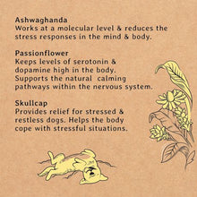 Load image into Gallery viewer, Gizzls Botanicals Healthy Dog Treats for Anxiety

