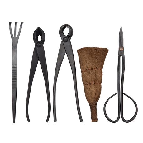 Fragram 5 Piece Professional Bonsai Set Buy Online in Zimbabwe thedailysale.shop