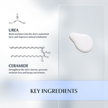 Load image into Gallery viewer, Eucerin Urea Repair Plus 10% Lotion 250ml
