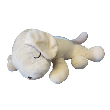 Time2Play Soft Puppy Toy with Light Projection and Soft Music Buy Online in Zimbabwe thedailysale.shop