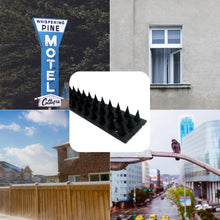 Load image into Gallery viewer, Garden Anti-bird Thorn Garden Bird Repellent 10 Piece
