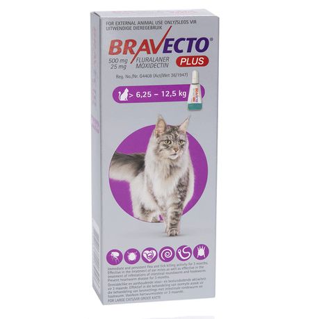 Bravecto Plus for Large Cats 6.25 - 12.5KG Buy Online in Zimbabwe thedailysale.shop