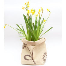 Load image into Gallery viewer, That's Sooo Pretty Fabric Flower Pot Beige Floral
