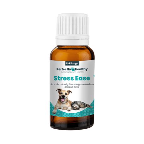 Pet Stress Ease Supplement (Dogs & Cats) - A Formula for Anxiety Buy Online in Zimbabwe thedailysale.shop