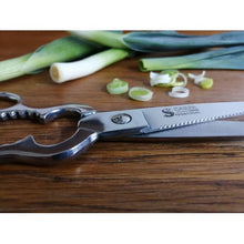 Load image into Gallery viewer, Carpa Stainless Steel Kitchen Scissors
