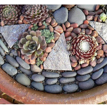 Load image into Gallery viewer, Garden Pot Plant Decorative Pebble Stones Set of 6Kg
