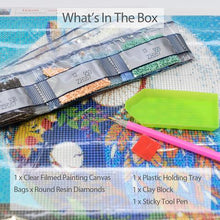 Load image into Gallery viewer, Diamond Painting DIY Kit - Full Drill Round Dot - Owl Under Moon
