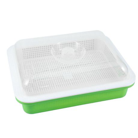 Seed Sprouting Tray Buy Online in Zimbabwe thedailysale.shop