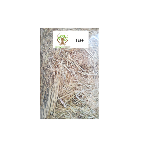 1kg Teff Block Buy Online in Zimbabwe thedailysale.shop