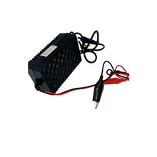 Load image into Gallery viewer, 12V 2A Intelligent Pulse Chargers
