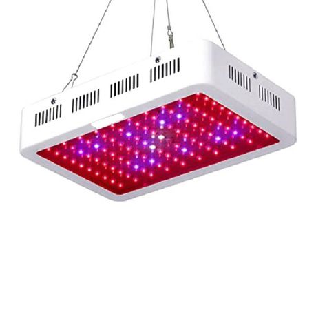 1000 LED Full Spectrum Indoor Grow Medicinal Veg & Flower Light Buy Online in Zimbabwe thedailysale.shop