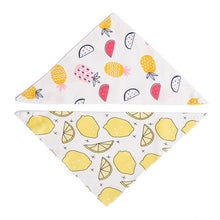 Load image into Gallery viewer, All Heart 2 Pack Baby Bib Clothes With Tropical Fruits Prints
