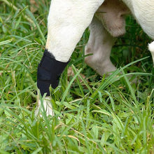 Load image into Gallery viewer, Portable Pet Leg Injury Anti-Infection Fixed Auxiliary Recovery Strap - L
