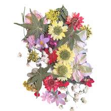 Load image into Gallery viewer, Dried_ Pressed Flowers - Yellow Pink Variety (Small flowers)
