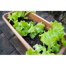 Load image into Gallery viewer, Growology Perlite 15L
