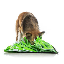 Load image into Gallery viewer, Cosmic Pets Pet Snuffle Mat Green/White (40 x 40cm)
