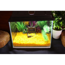 Load image into Gallery viewer, Akado Yellow Gravel for Aquarium 2Kg - 6mm
