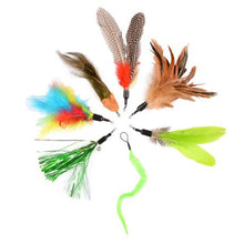 Load image into Gallery viewer, Glitter Refill for zaBird Cat Toy Rod
