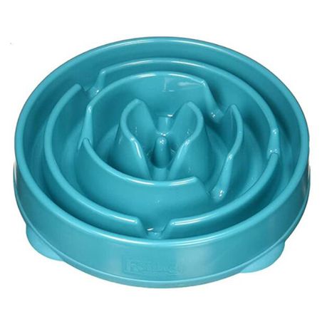 Healthy Pet Slow Fun Feeder Dog Bowl - Turquoise Buy Online in Zimbabwe thedailysale.shop