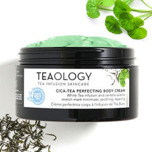 Load image into Gallery viewer, Teaology Cica Perfecting Body Cream 300ml
