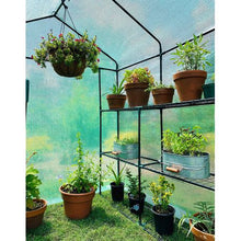 Load image into Gallery viewer, Walk-in Greenhouse for Plants (196cmx143cmx143cm)
