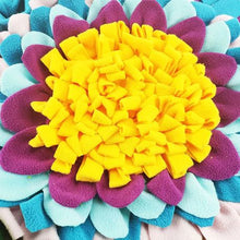 Load image into Gallery viewer, Pet Interactive Snuffle Mat
