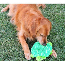 Load image into Gallery viewer, ZippyPaws Squeakie Crawler -SlowPoke the Turtle
