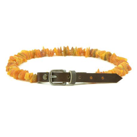 Pet collars made with raw Baltic Amber Buy Online in Zimbabwe thedailysale.shop