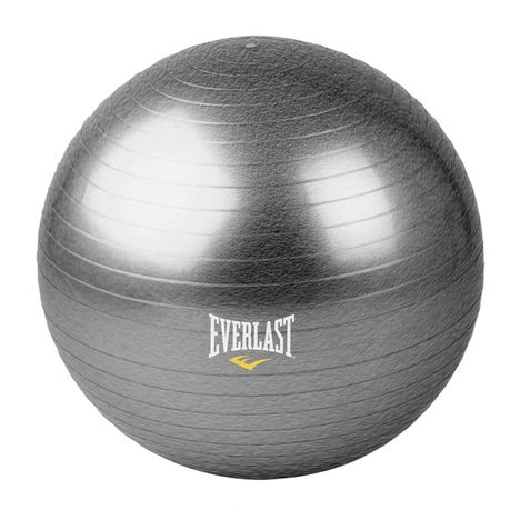 Everlast Anti-Burst Gym Ball - 55cm Buy Online in Zimbabwe thedailysale.shop