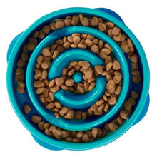 Load image into Gallery viewer, Healthy Pet Slow Fun Feeder Dog Bowl - Turquoise
