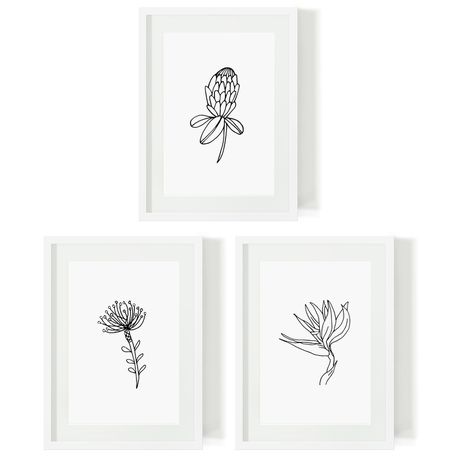3pc South African Flora Art Print Bundle Buy Online in Zimbabwe thedailysale.shop
