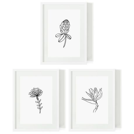 3pc South African Flora Art Print Bundle