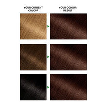 Load image into Gallery viewer, Garnier Nutrisse 4.0 Dark Brown
