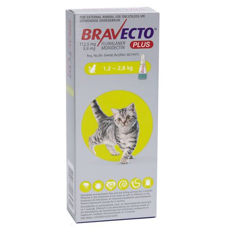 Bravecto Plus for Small Cats 1.2 - 2.8KG Buy Online in Zimbabwe thedailysale.shop