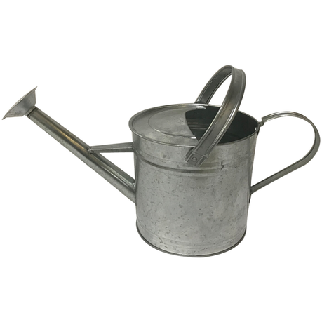 Galvanized Steel Watering Can 3.5L Buy Online in Zimbabwe thedailysale.shop