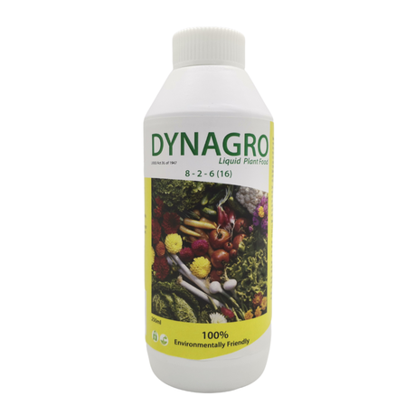 DynaGro 8-2-6 Liquid Plant Food 250ml Buy Online in Zimbabwe thedailysale.shop