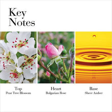 Load image into Gallery viewer, Elizabeth Arden White Tea Wild Rose EDT 100ml For Her
