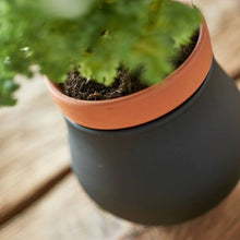 Load image into Gallery viewer, Leonardo Plant Pot Planter Black with Pot Insert SERRA Small – 2 Pieces
