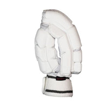 Load image into Gallery viewer, Focus Cricket Players Edition Hybrid Batting Gloves Adult - RH
