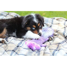 Load image into Gallery viewer, Zippy Paws Zingy Purple Squirrel
