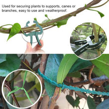 Load image into Gallery viewer, Garden Grafting Ties &amp; Clips - 31 Piece Set
