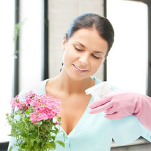 Load image into Gallery viewer, 5  Pack 1L Empty Spray Bottles
