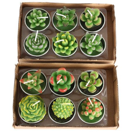 Candle Succulent Plants Cactus set of 12 Cool