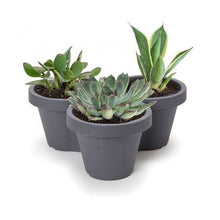 Load image into Gallery viewer, ECO Flowerpot Stackable
