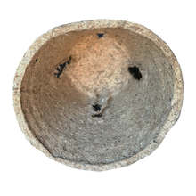 Load image into Gallery viewer, Jiffy 6cm Biodegradable Grow Cups - Pack of 30
