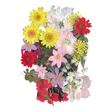 Load image into Gallery viewer, Dried_ Pressed Flowers - Yellow Pink Variety (Small flowers)
