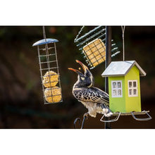 Load image into Gallery viewer, Westermans Suet Bird Feeder
