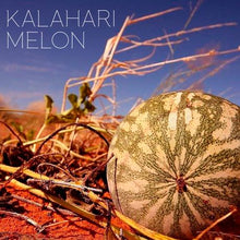 Load image into Gallery viewer, Africa Organics Kalahari Melon Body Lotion - 210ml
